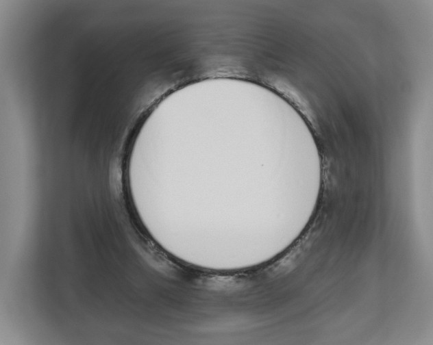 X0000112500298200909141229