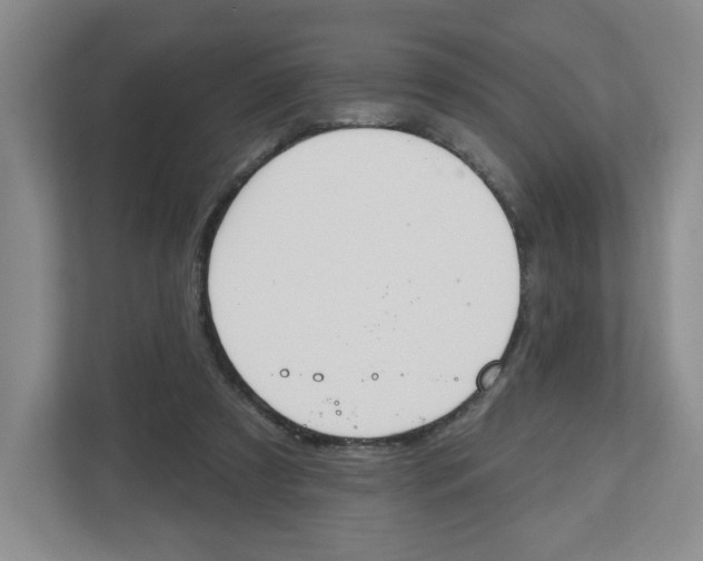 X0000112500305200909141229