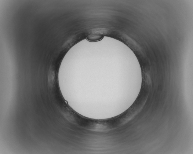 X0000112500308200909141229