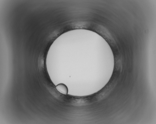 X0000112500310200909141229