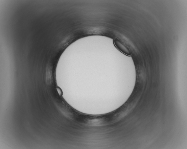 X0000112500312200909141229