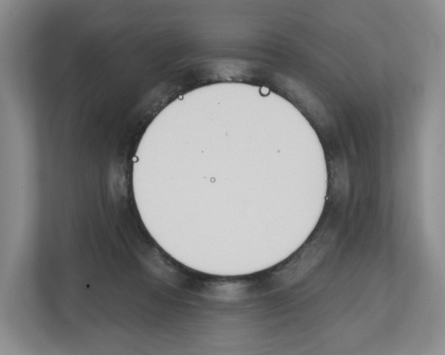 X0000112500313200909141229