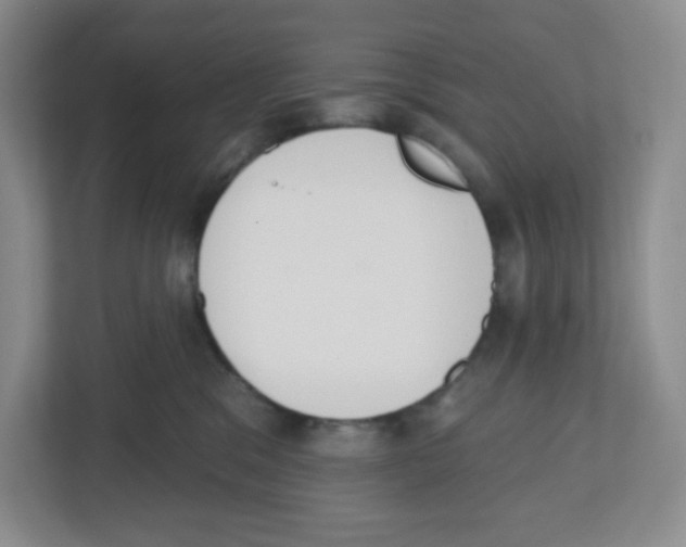 X0000112500329200909141229