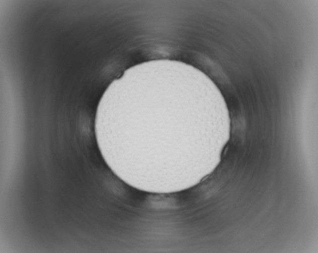 X0000112500331200909141229