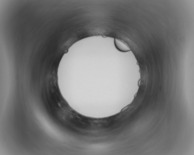 X0000112500334200909141229