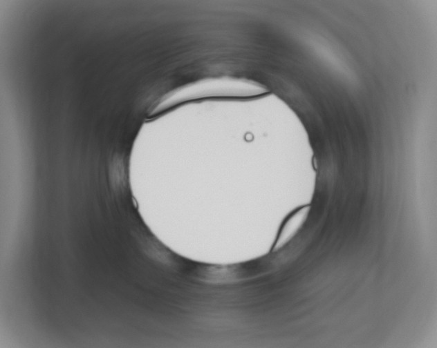 X0000112500335200909141229