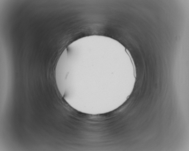 X0000112500336200909141229