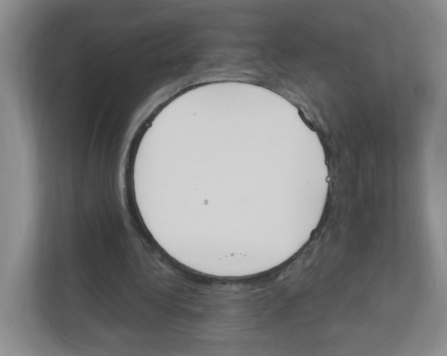 X0000112500340200909141228