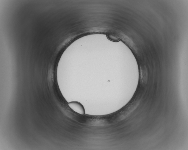 X0000112500348200909141228