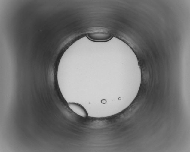 X0000112500350200909141228