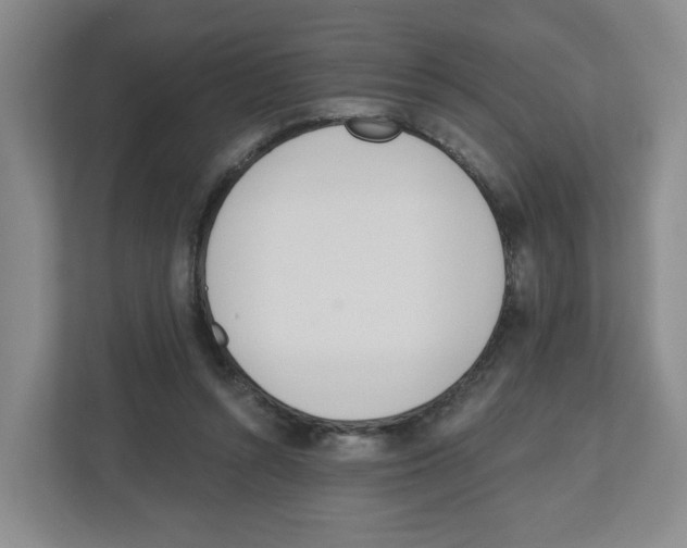 X0000112500352200909141228