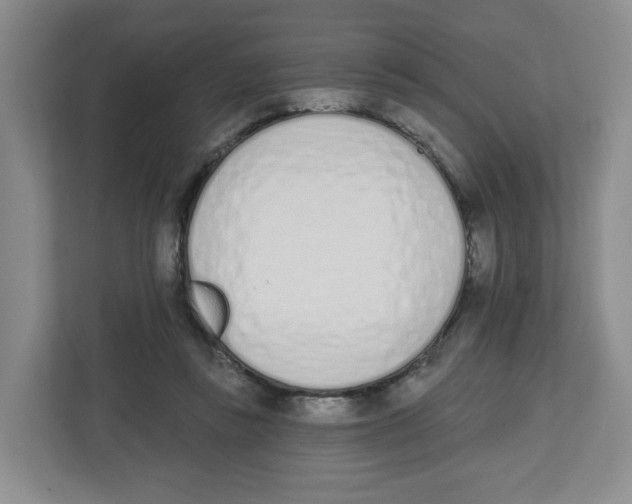 X0000112500355200909141228