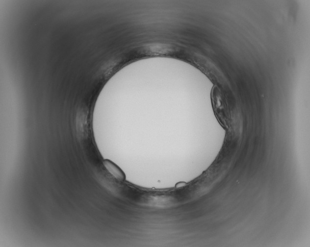 X0000112500360200909141229