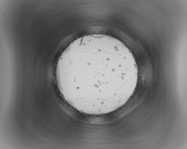 X0000112500361200909141229