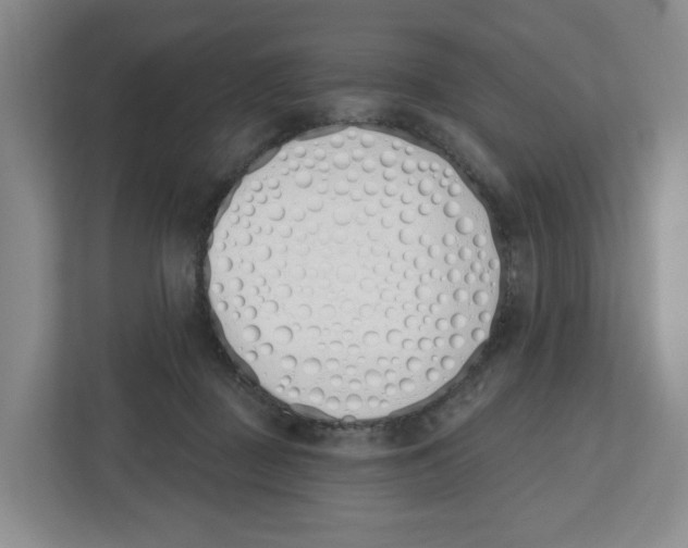 X0000112500363200909141229