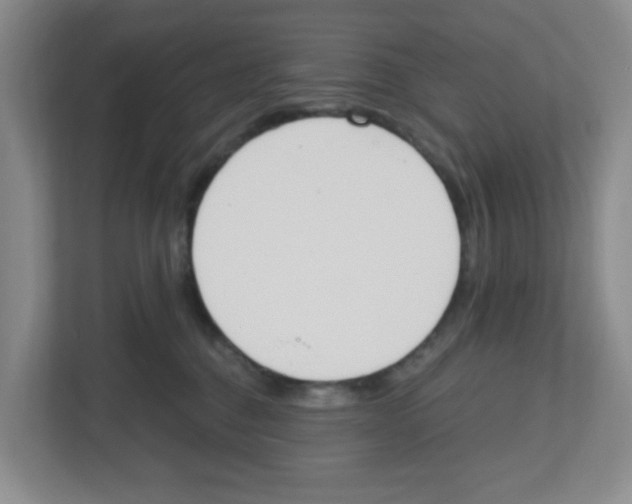 X0000112500376200909141229