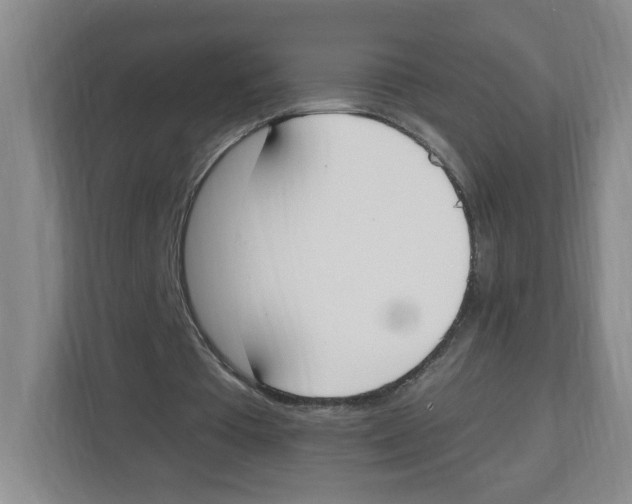 X0000112500385200909141228