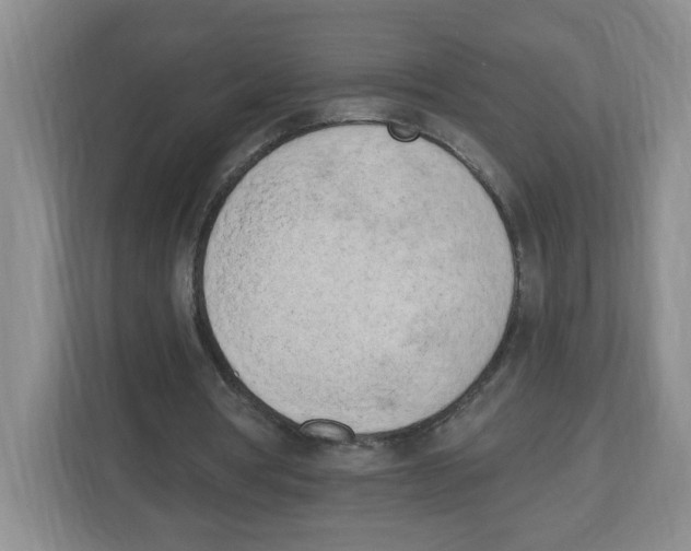 X0000112500386200909141228