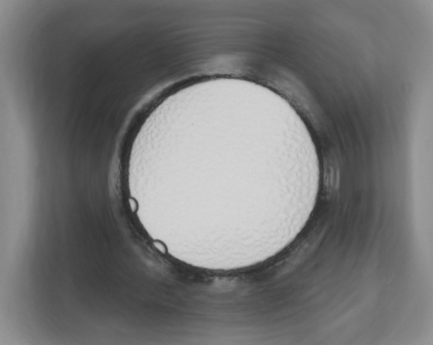 X0000112500388200909141228