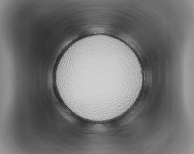 X0000112500390200909141228