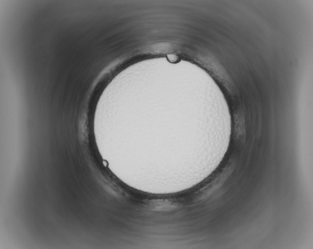 X0000112500392200909141228