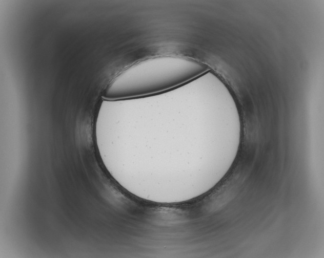 X0000112500393200909141228