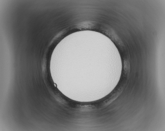 X0000112500396200909141228