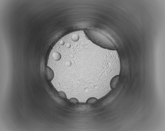 X0000112500398200909141228