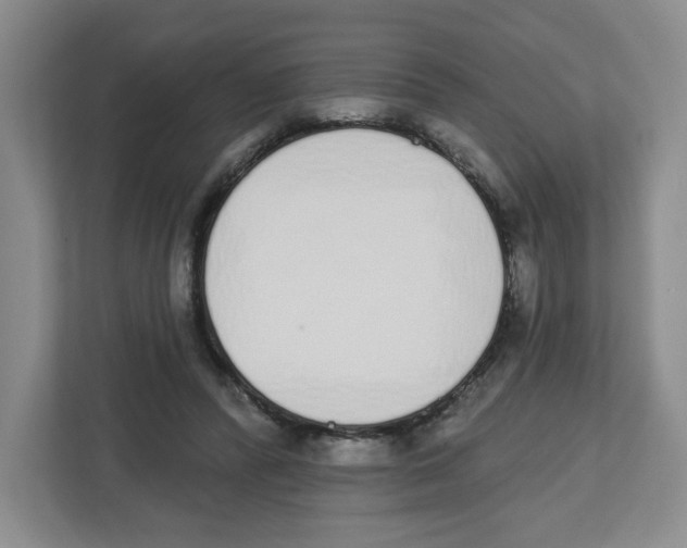 X0000112500400200909141228