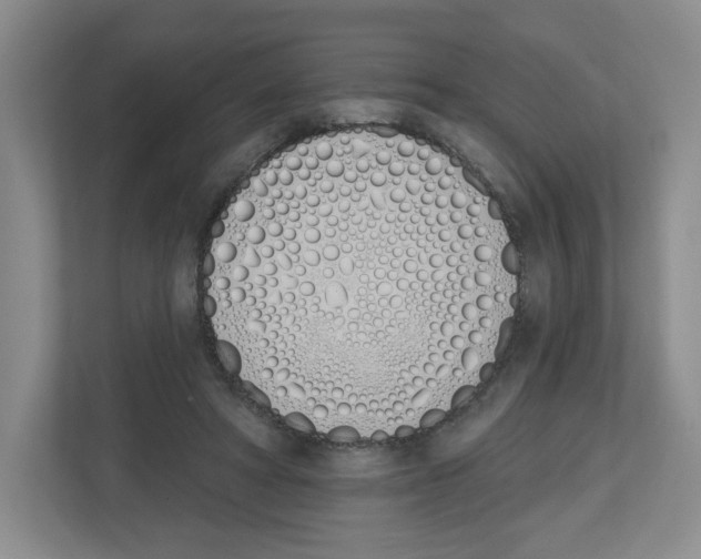 X0000112500402200909141228