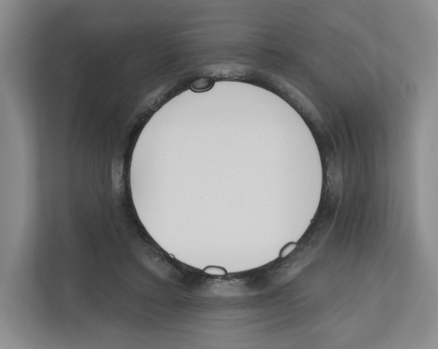 X0000112500403200909141228