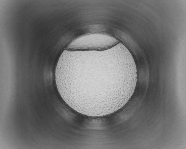 X0000112500405200909141228