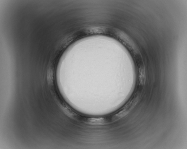 X0000112500410200909141228