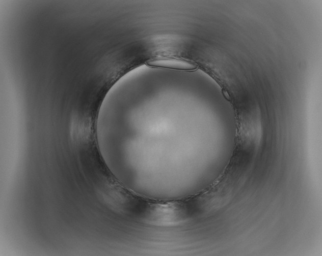 X0000112500411200909141228