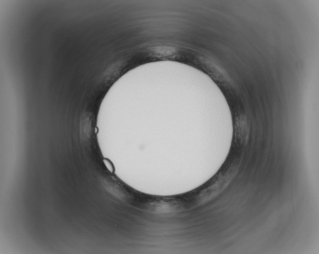 X0000112500412200909141228