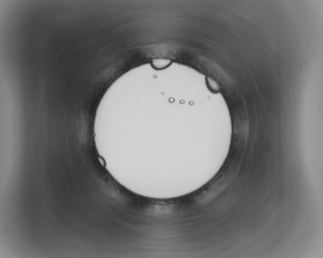 X0000112500416200909141228