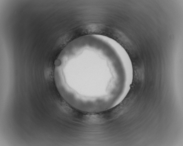 X0000112500419200909141228