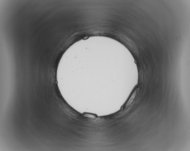 X0000112500421200909141228