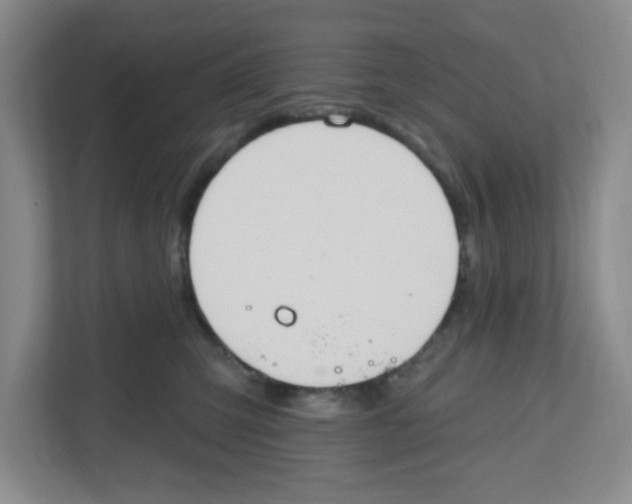 X0000112500423200909141228