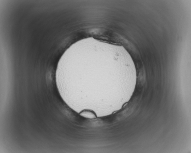 X0000112500424200909141228