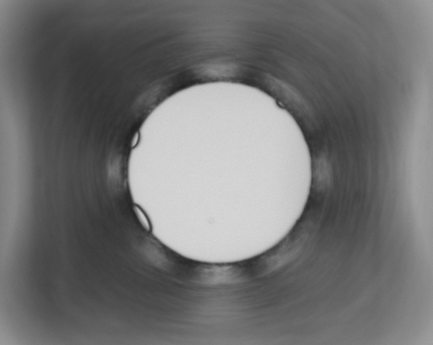 X0000112500428200909141228