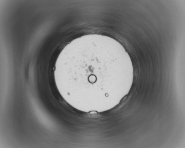 X0000112500429200909141228