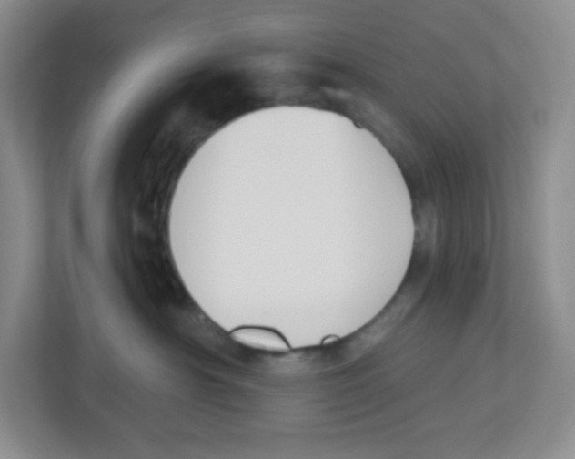 X0000112500430200909141228