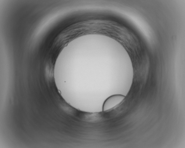 X0000112500431200909141228