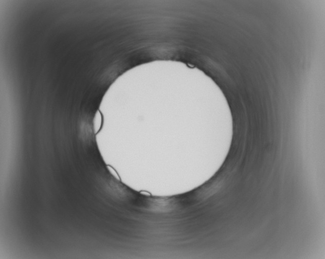 X0000112500432200909141228