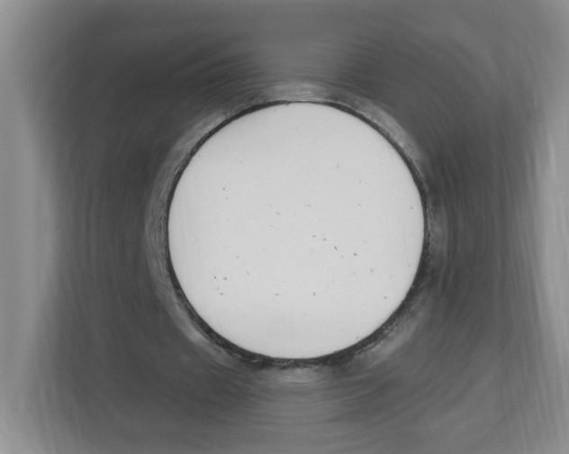 X0000112500433200909141227