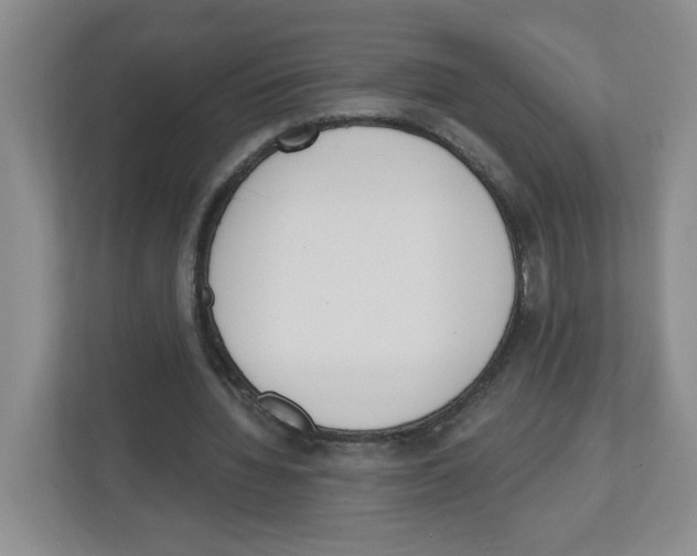 X0000112500436200909141227