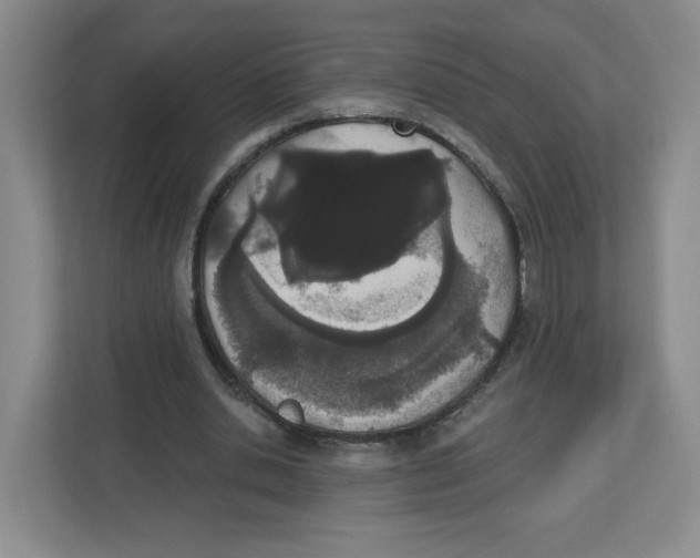 X0000112500438200909141227