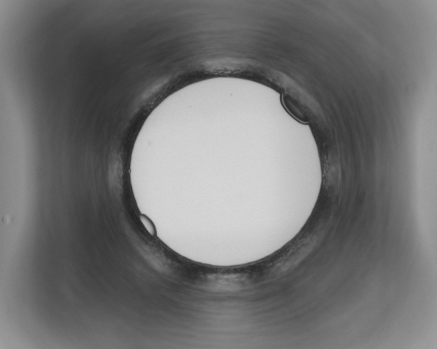 X0000112500448200909141227