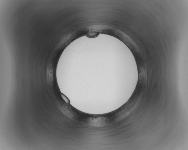 X0000112500452200909141227